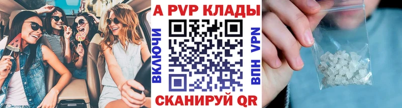Купить  Стародуб  А ПВП крисы CK 