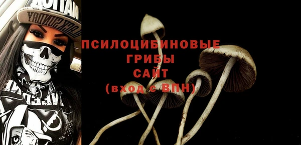 гашик Кодинск