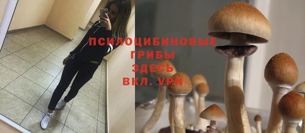 метамфетамин Козельск