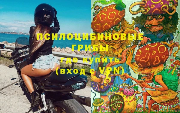таблы Каменногорск