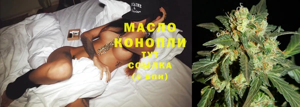 соль курить ск Каменка